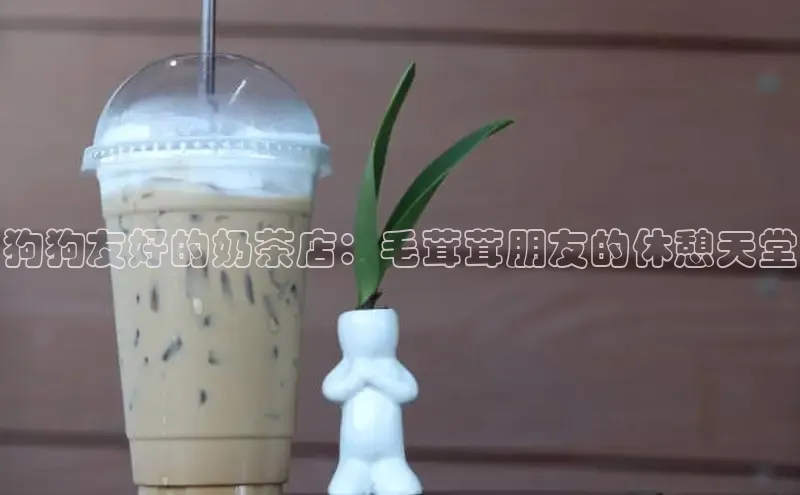 凯捷娱乐阿里尔公司