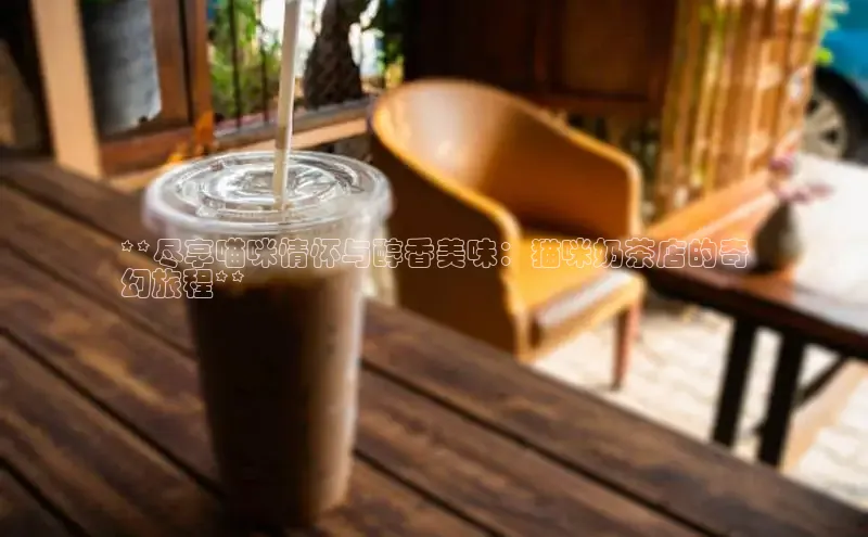 凯捷体育百家号